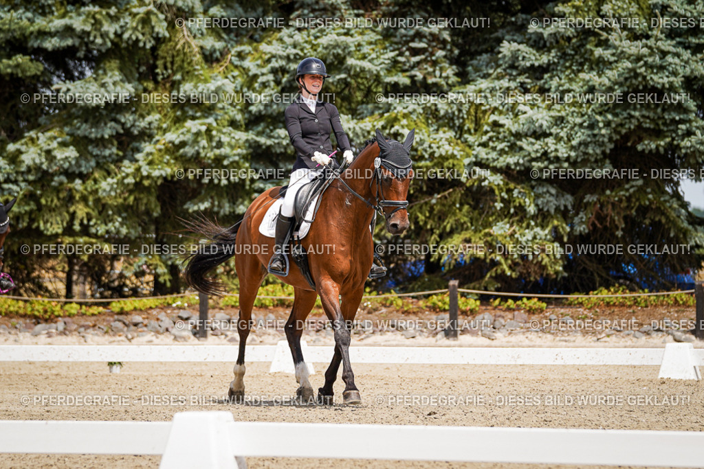 DSC02490 | Pferdegrafie