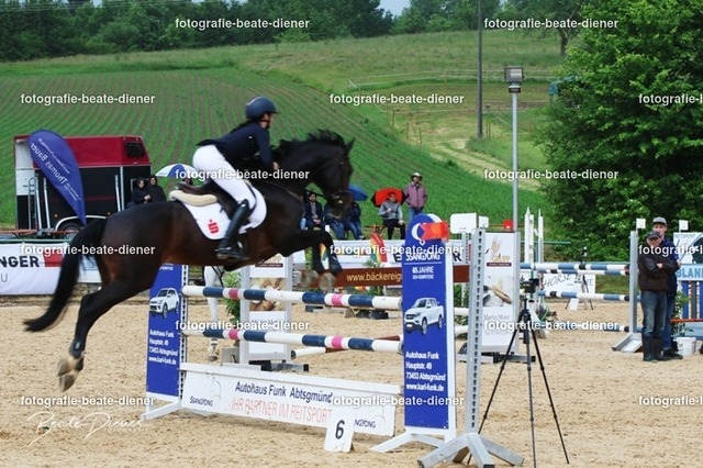 OHT2531 | Fotografie, Tiere, Hunde, Katzen, Pferde, Sportfotografie, Fotosession, Tierfotografie, Turnierfotografie, Fotografin, Fotograf - Realisiert mit Pictrs.com