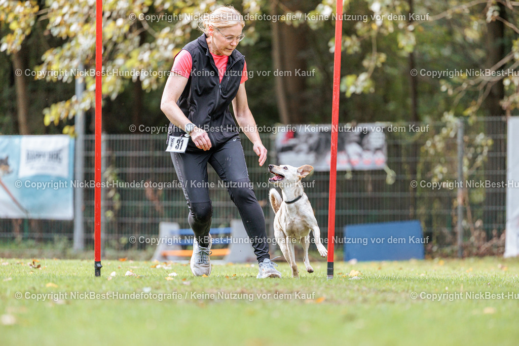 THS-HSV-Blumenthal-2026-Nickbest-Hundefotografie-1909 | Dein Hund! Dein Moment! Deine Erinnerungen! Hundefotografie in Bremen Blumenthal. Ich fange die besonderen Momente deines Vierbeiners ein – ob Indoor mit Blitzanlage oder in der freien Natur. Sicher dir dein Moment und dein Termin für eure Erinnerungen.