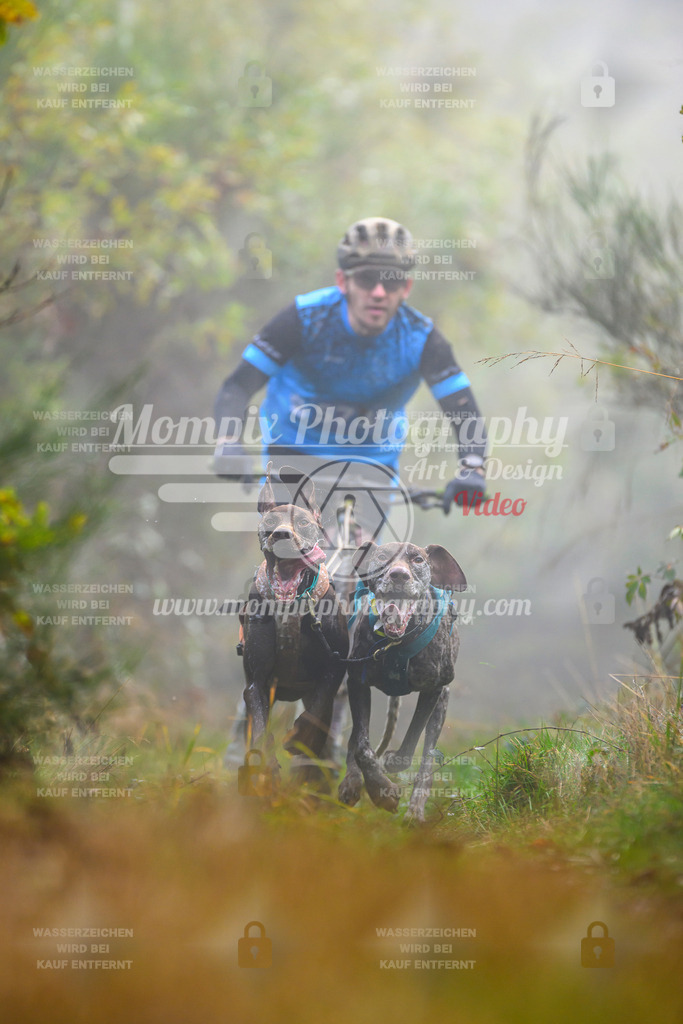 MompixPhotography_20TSB_E4_DS2-6 | PayLife