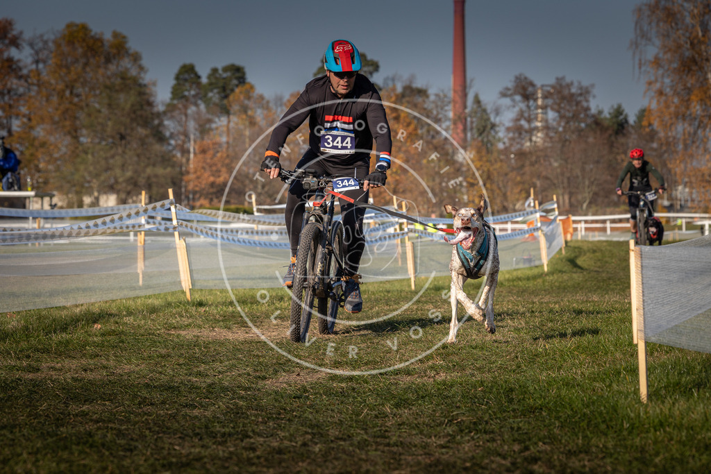 CaniXpix_0L8A7971 | Hundefotografie, Tierfotograf, Pfotenfotografie, Fotoshooting Hund, Hunde Portrait, Hundesport, Hundeportraits, Heideshooting, Hunde, Sportfotograf, Hundefotograf, Turnierhundsport, THS,  - Realisiert mit Pictrs.com