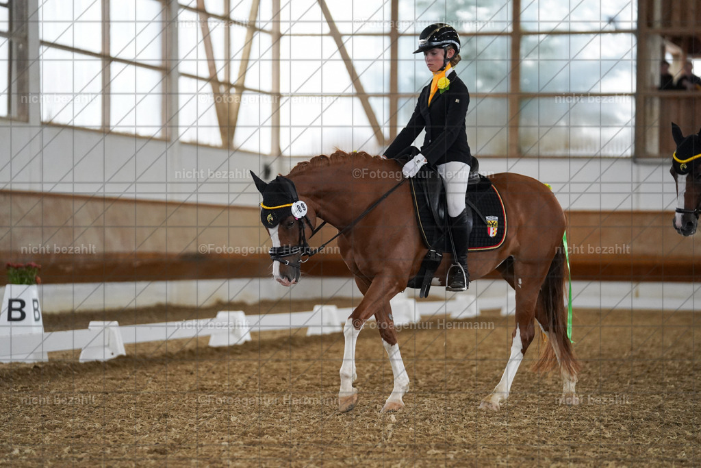 20240825-FAH09679 | Turnierbilder, Reitsportfotos, LAPO, Landesponyturnier, Turnierfotografen Bayern