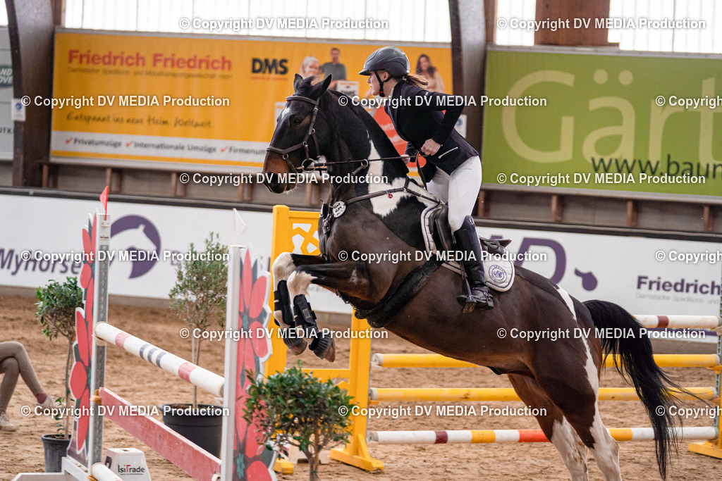 Kranichstein Tag 3-769 | dv-media-shop - Realisiert mit Pictrs.com