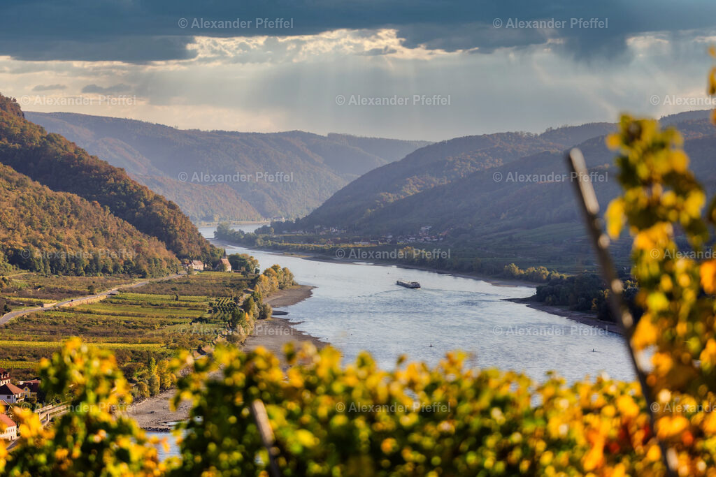 foto_c_pfeffel-partner-0080-R52_0288-Bearbeitet | alexander-pfeffel - Realisiert mit Pictrs.com