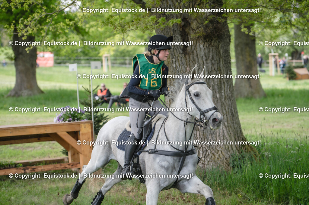 20250517_CCI1_Gelände_0175 | Foto: Thomas Hartig