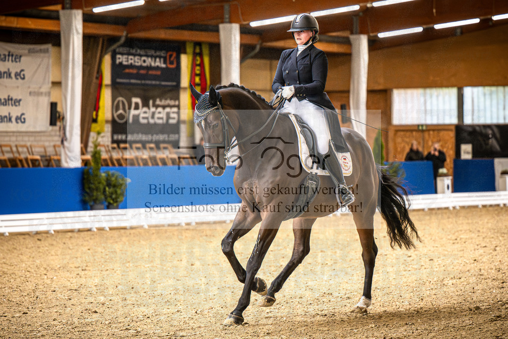 DOS_0341 | Entdecke hochwertige Reitturnierfotos von Foto Oger. Professionell, emotional und authentisch – jetzt Lieblingsmomente im Shop bestellen.Deutschlandweite Turnierfotografie. - Realisiert mit Pictrs.com