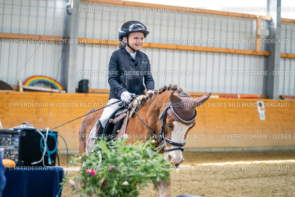 DSC03021 | Pferdegrafie