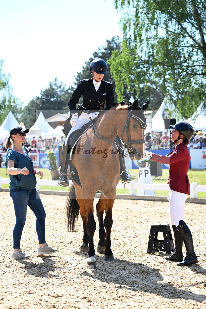 Dressur Derby_11255448 | hf-fotografie - Realizzato con Pictrs.com