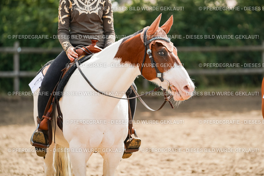 DSC05075 | Pferdegrafie