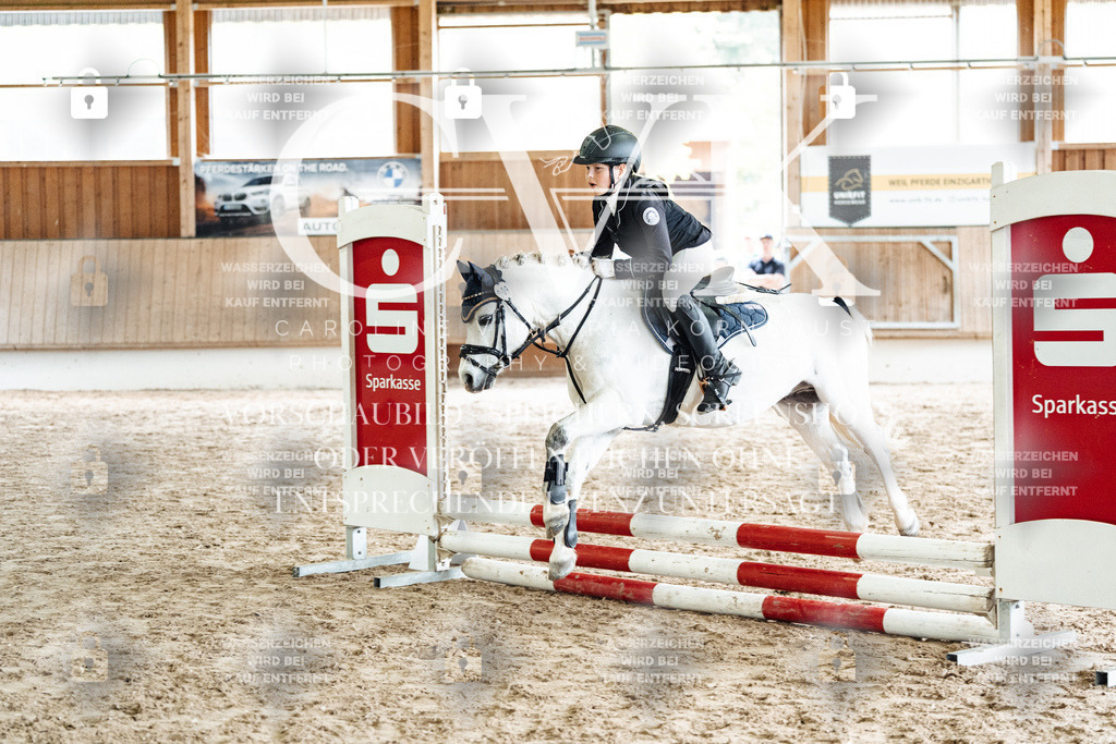 CK902563 | Turnierfotografie Pferdefotografie Trier Rheinland-Pfalz Pferdesport Reitsport Tierfotografie Sportfotografie Pferdevideo Pferdevideografie Equestrianvideography equestrianphotography  - Realisiert mit Pictrs.com
