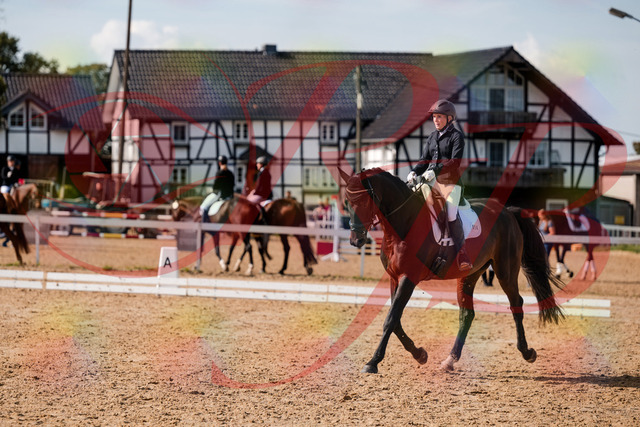 2026_10_03_Siefer-Hof_133618_Z63_96673887 | Professionelle Reitsport-, Turnier- und Eventfotografie von Robert Broda. Galerien mit ausgewählten und bearbeiteten Bildern direkt online ansehen und bestellen.