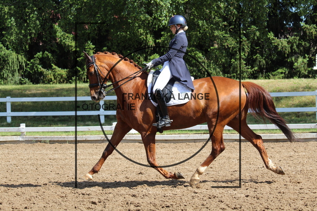 IMG_7064 | franziskalange - Realisiert mit Pictrs.com