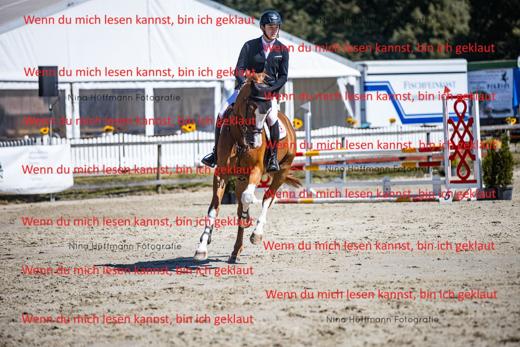 BK1A5482 | Turnierbilder Turnierfotos Nina Hüffmann Turnierfotografie Pferdefotografie Tierzeichnung Haustierzeichnung Pferdezeichnung Hundezeichnung Videograf  - Realisiert mit Pictrs.com