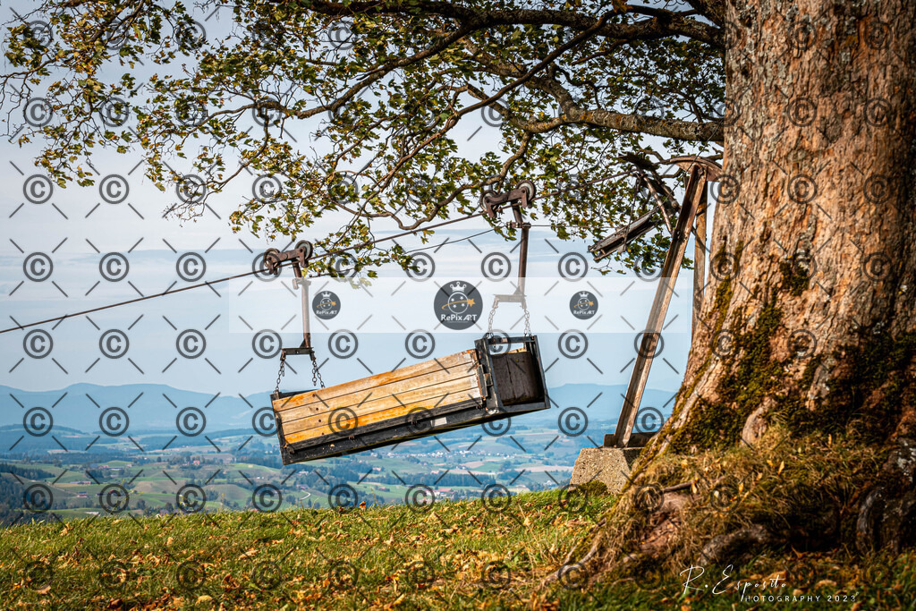 20231012_Napf_300 | Sport und Naturfotografie von Roberto Esposito zeigt echte Momente Bewegung und die Schönheit der Natur. Ausdrucksstarke Bilder schaffen Emotionen.