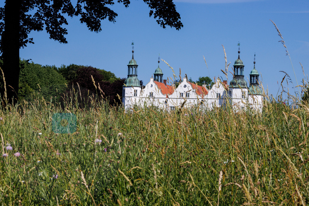 _MG_1604 | Bildershop von Jan Haeselich Photographie - Realisiert mit Pictrs.com