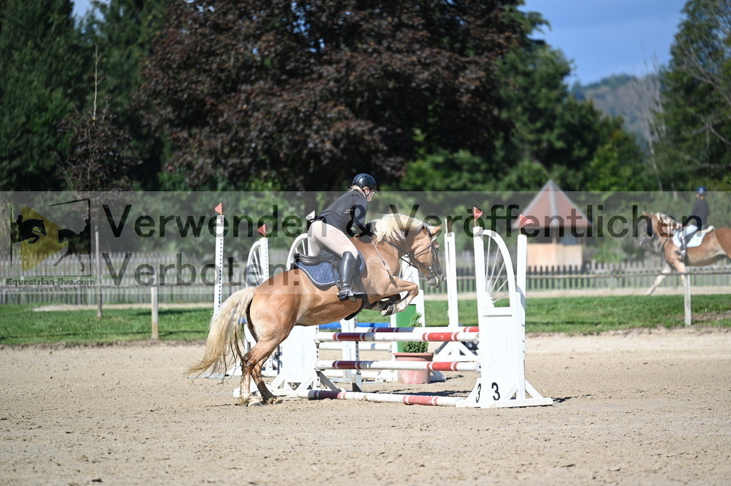 DSC_8242 | equestrian-live-com