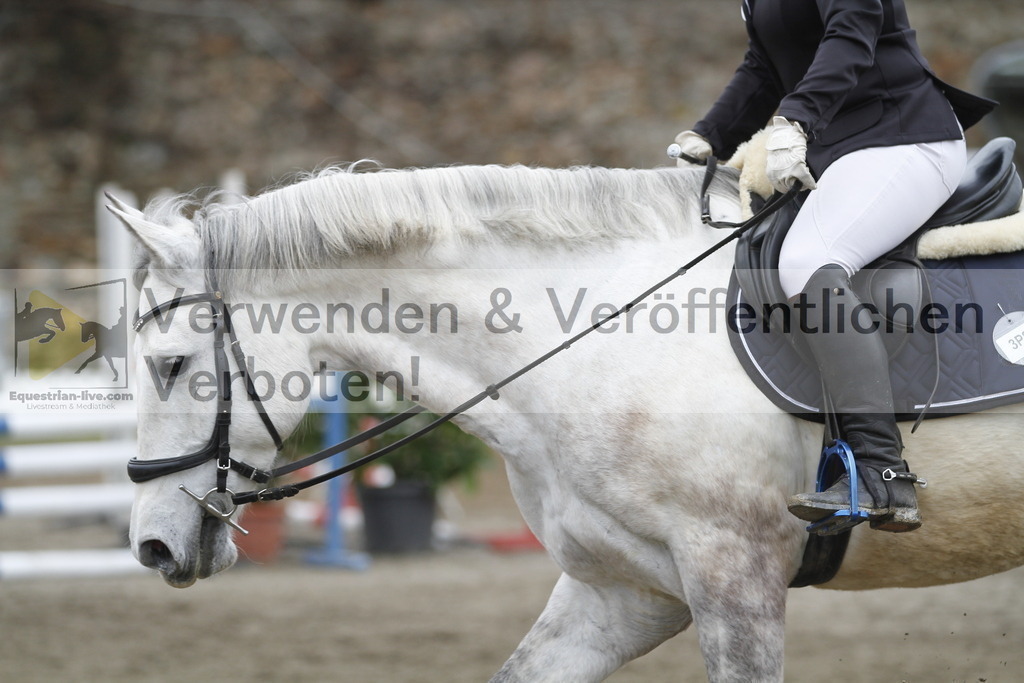 _MG_4540 | equestrian-live-com