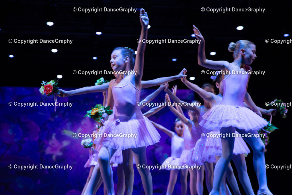 GPHY4861 | DanceGraphy - Realisiert mit Pictrs.com