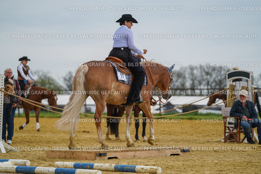 DSC02459 | Pferdegrafie