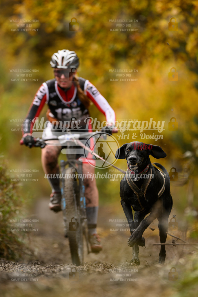 MompixPhotography_ICF_WC_2024_SA_Bike_-141 | PayLife