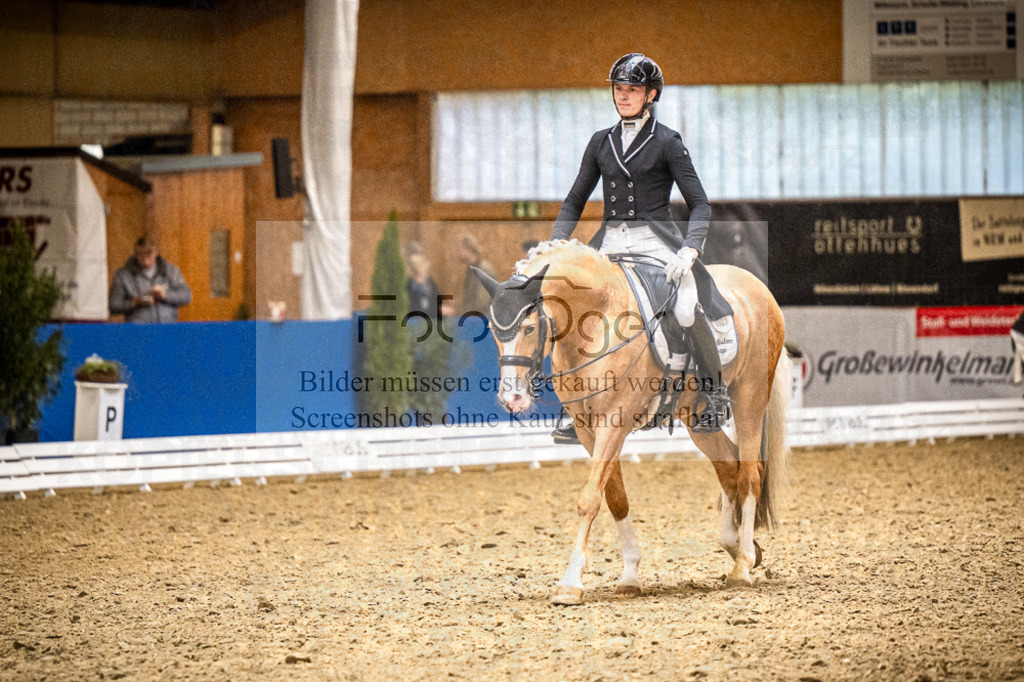 DOS_2313 | Entdecke hochwertige Reitturnierfotos von Foto Oger. Professionell, emotional und authentisch – jetzt Lieblingsmomente im Shop bestellen.Deutschlandweite Turnierfotografie. - Realisiert mit Pictrs.com