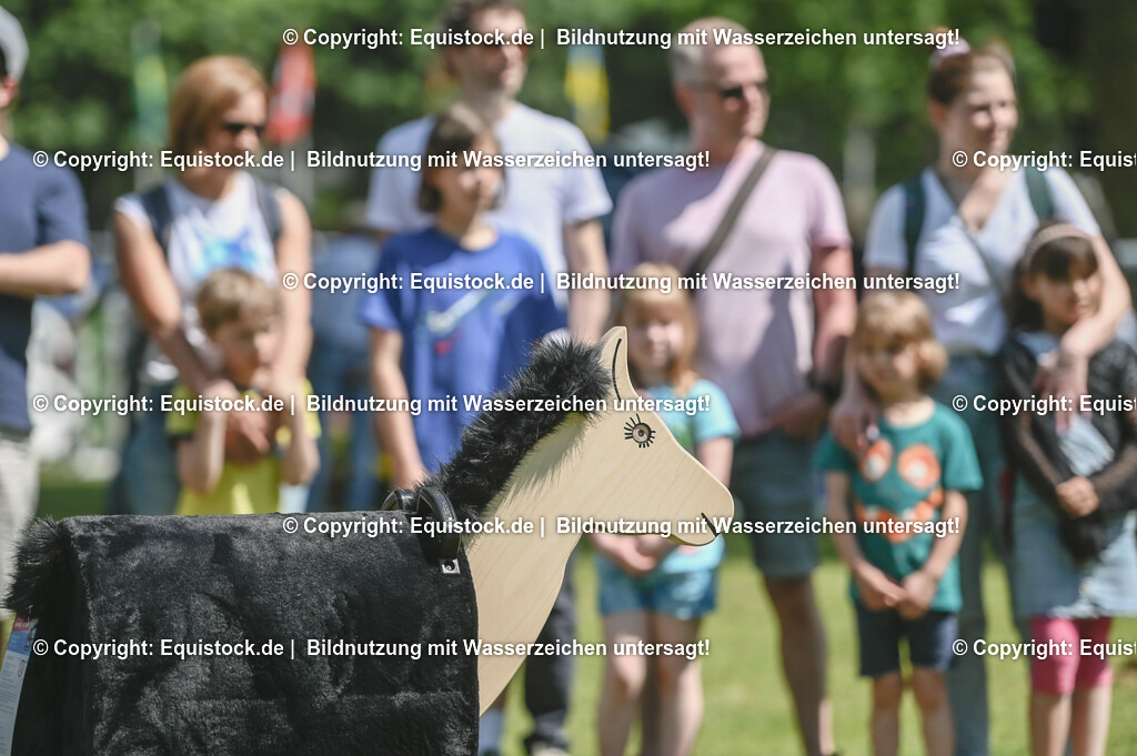 D78_3589 | equistock