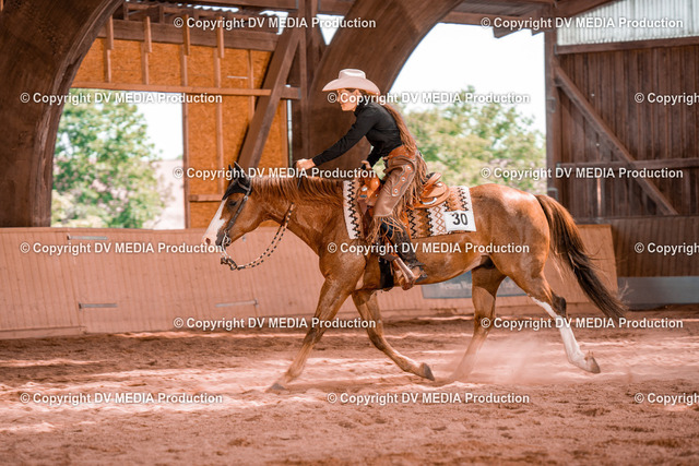 NE100850 | dv-media-shop - Realized with Pictrs.com