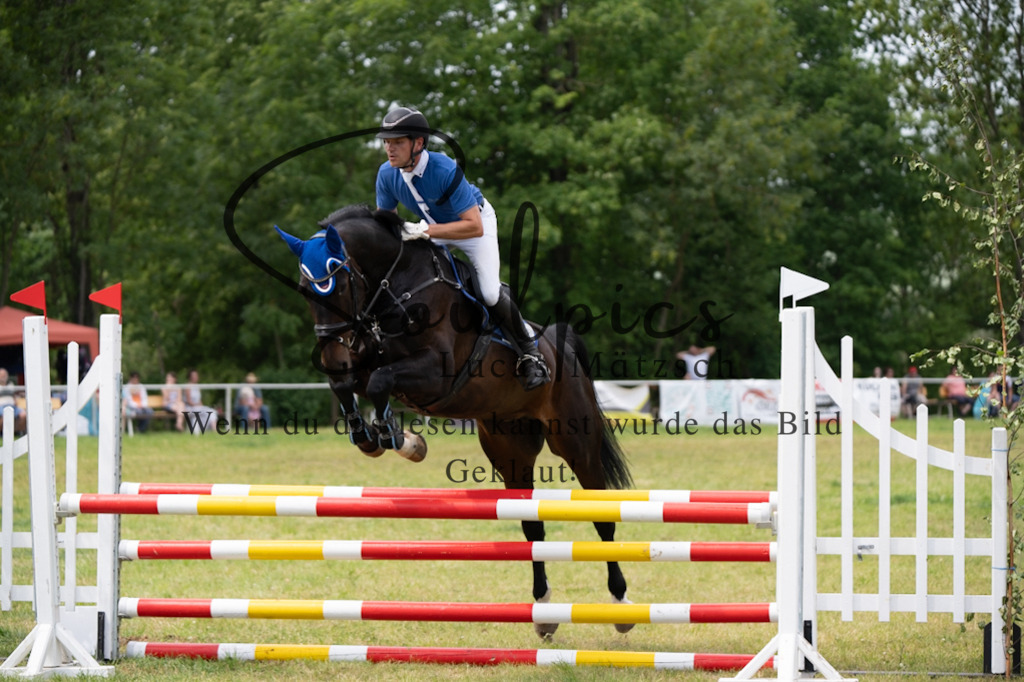 A7V06845 | Pferdefotograf