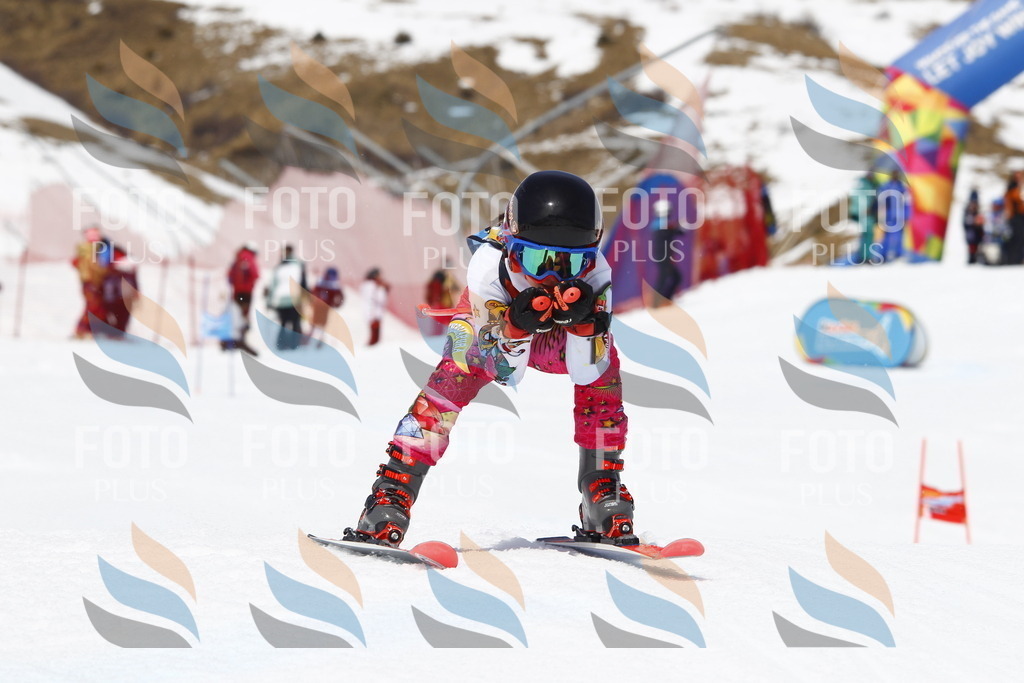 _U3G8027 | holidayphoto