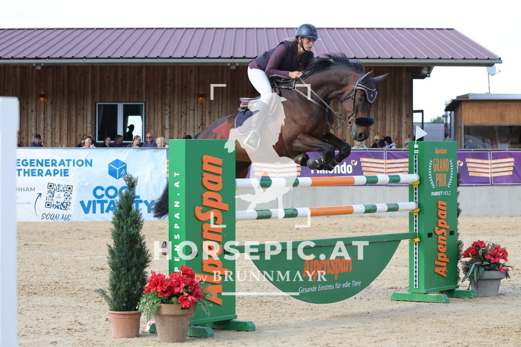 0P6A9686 | Willkommen bei Brunnmayr - Design & Fotografie – Ihrem Spezialisten für Reitturniere und Pferdeveranstaltungen in Oberösterreich, Salzburg und Bayern! Seit über 17 Jahren sind wir leidenschaftlich dabei.