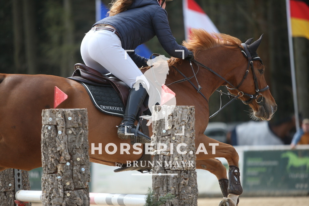 PP013676 | Willkommen bei Brunnmayr - Design & Fotografie – Ihrem Spezialisten für Reitturniere und Pferdeveranstaltungen in Oberösterreich, Salzburg und Bayern! Seit über 17 Jahren sind wir leidenschaftlich dabei.