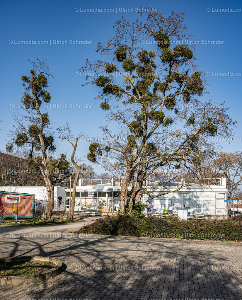 10049-13162 - Halberstadt - Wilhelm-Pieck-Ring | Stockfoto und Bilderpool mit Bildmaterial aus Deutschland, dem Harz, Halberstadt, Quedlinburg, Wernigerode und weltweit. Qualitativ hochwertige und professionelle Fotos anschauen und kaufen. - Realisiert mit Pictrs.com