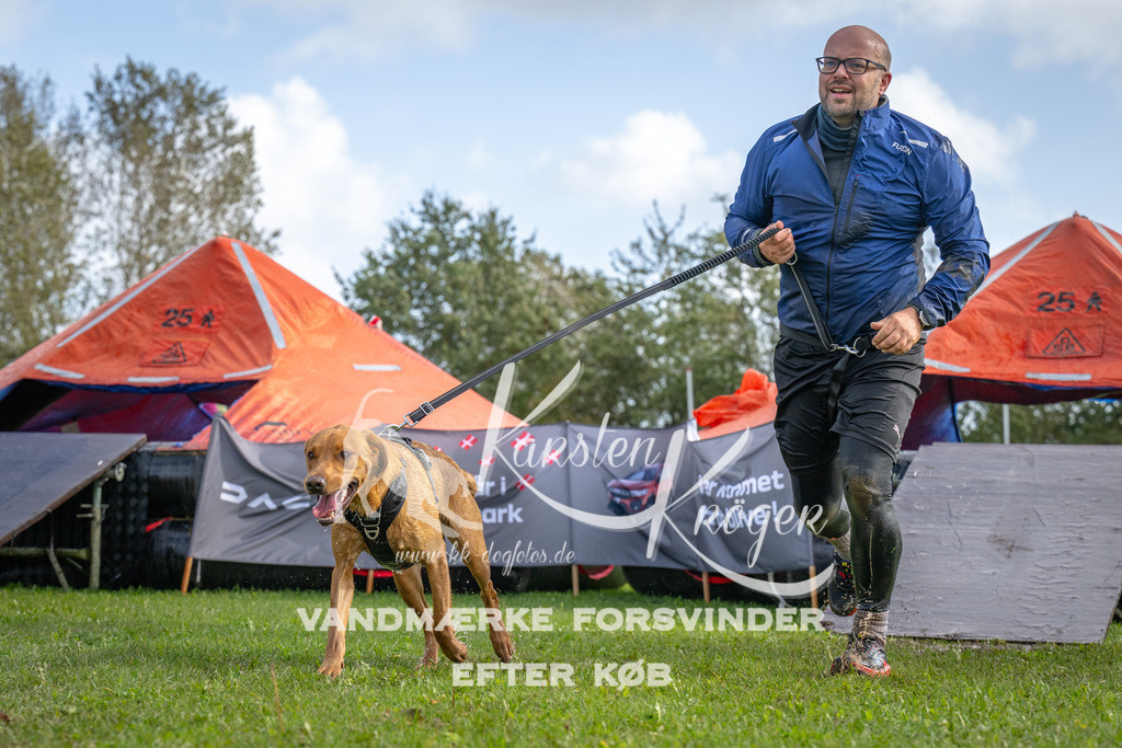 1213-92904 | kk-dogfotos