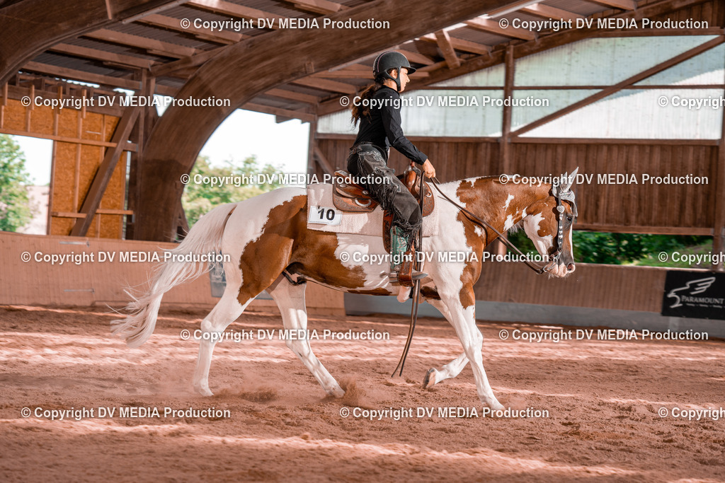 NE100815 | dv-media-shop - Realisiert mit Pictrs.com