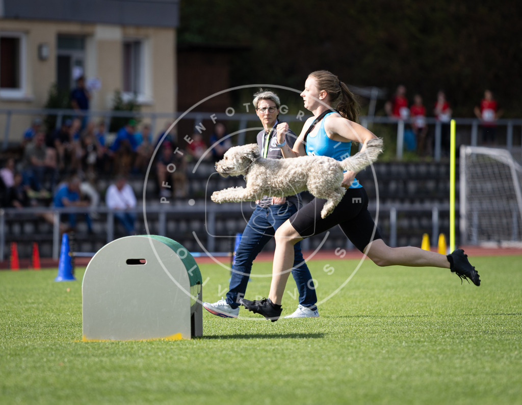 Pfotenfotografie_DV3A1336 | Hundefotografie, Tierfotograf, Pfotenfotografie, Fotoshooting Hund, Hunde Portrait, Hundesport, Hundeportraits, Heideshooting, Hunde, Sportfotograf, Hundefotograf, Turnierhundsport, THS,  - Realisiert mit Pictrs.com