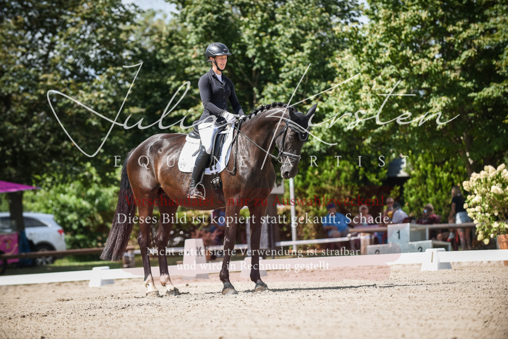 DSC_9044 | Pferde- und Turnierfotografie in Westsachsen. Pferdeportraits, Auftragszeichnungen und intuitive Kunst.