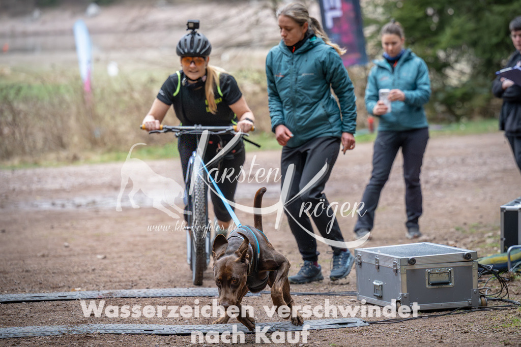 0940_ZZ91734 | kk-dogfotos