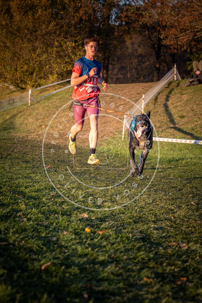 CaniXpix_0L8A1541 | Hundefotografie, Tierfotograf, Pfotenfotografie, Fotoshooting Hund, Hunde Portrait, Hundesport, Hundeportraits, Heideshooting, Hunde, Sportfotograf, Hundefotograf, Turnierhundsport, THS,  - Realisiert mit Pictrs.com
