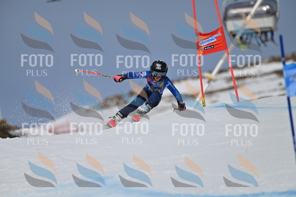 BGV_6155 | holidayphoto