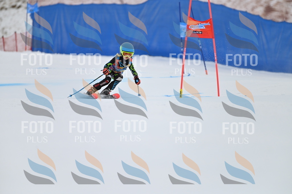 BGV_2098 | holidayphoto