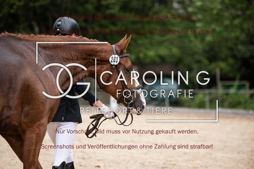 DSC_3084 | Turnierfotografin Carolin Gieschke,Reitsport Turnierfotografie Carolin G Fotografie | Turnierfotos aus Kirchheim/Teck, Esslingen, Stuttgart und dem Bodenseekreis