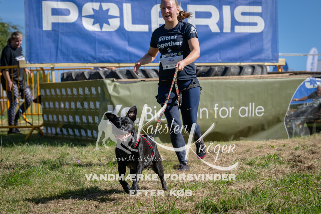 1029_ZZ98751 | kk-dogfotos