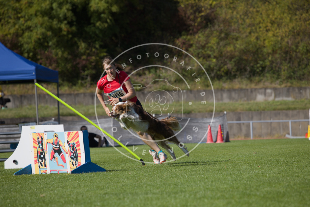 0L8A8074 | Hundefotografie, Tierfotograf, Pfotenfotografie, Fotoshooting Hund, Hunde Portrait, Hundesport, Hundeportraits, Heideshooting, Hunde, Sportfotograf, Hundefotograf, Turnierhundsport, THS,  - Realisiert mit Pictrs.com