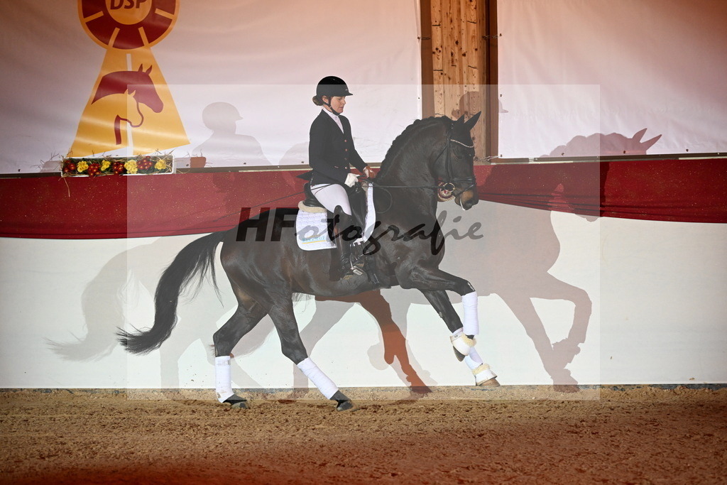 San__Haug_3262102 | hf-fotografie - Realisiert mit Pictrs.com