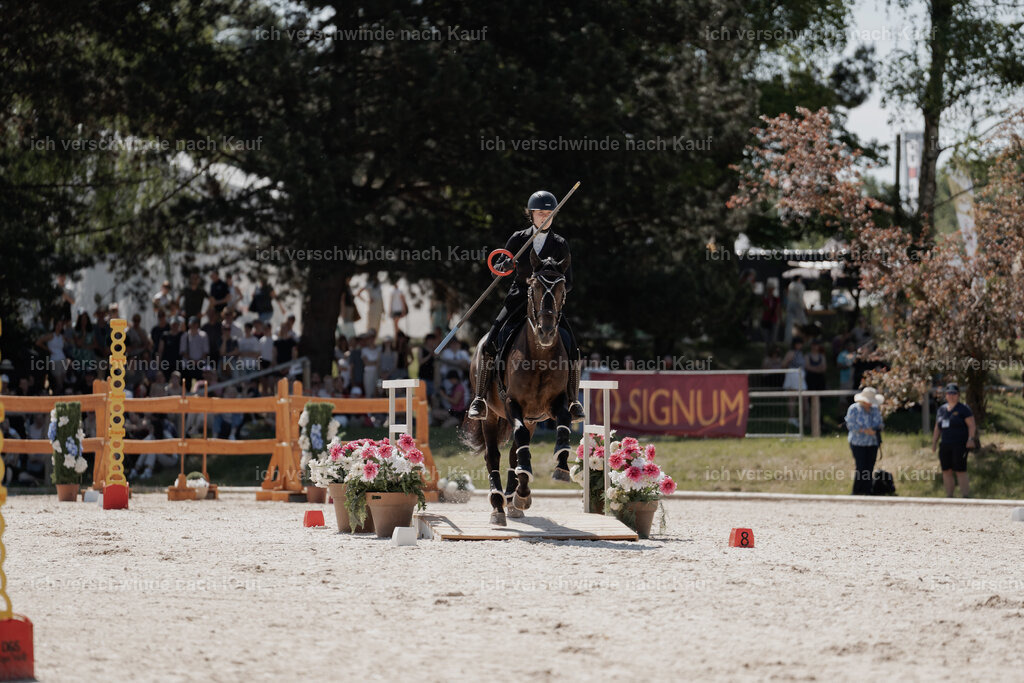 WE_SP_Stoib_309_PI2025_1494 | Pferd International München 2025