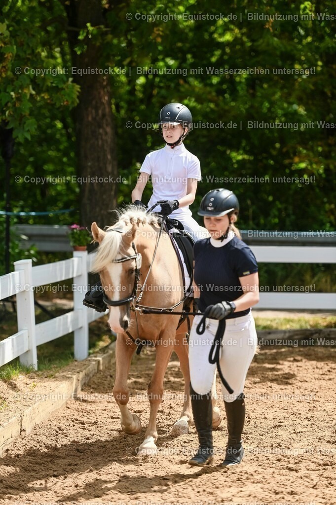 20230716_11_Führzügel-WB_0084 | equistock