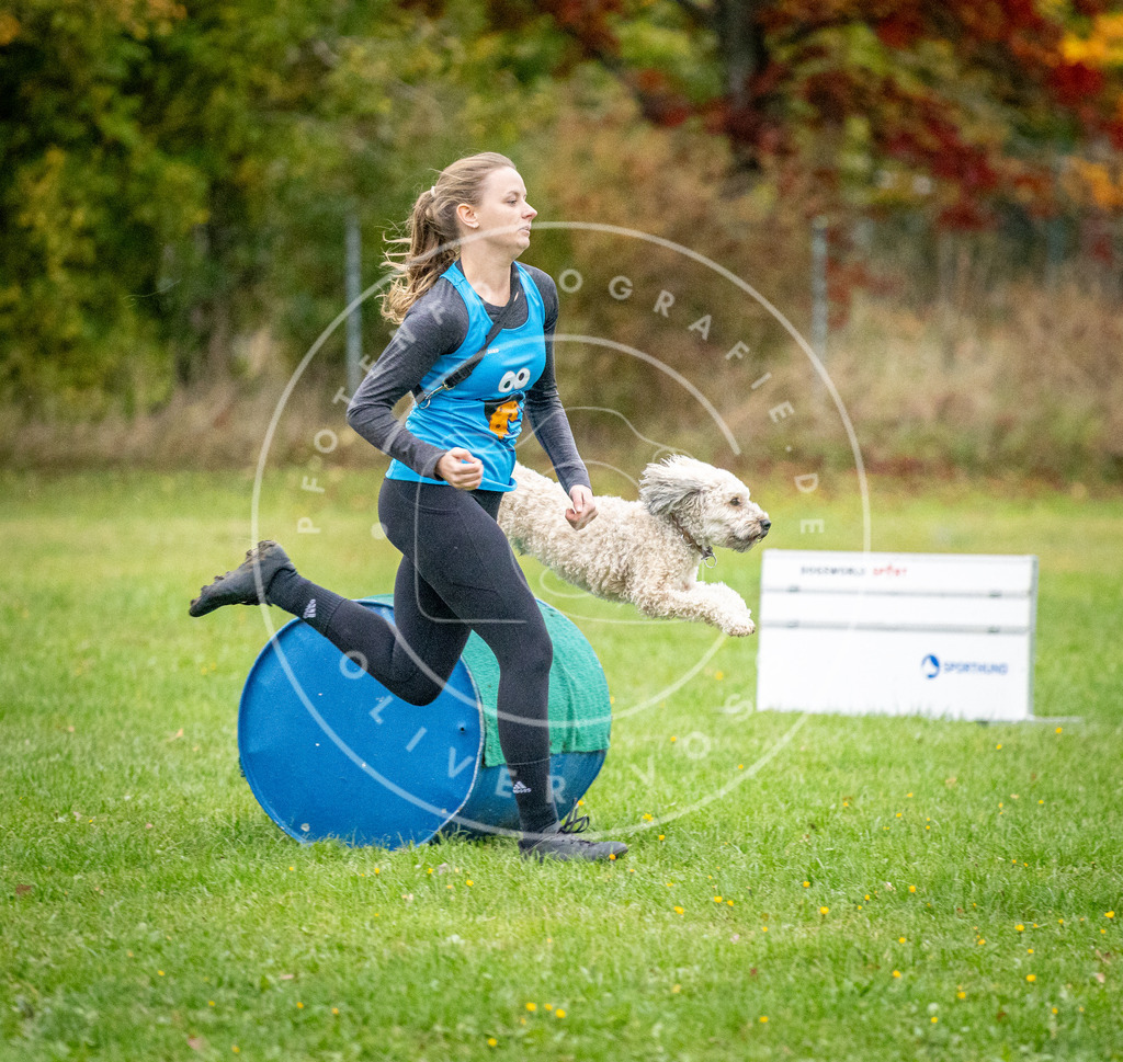 Pfotenfotografie_DV3A1081 | Hundefotografie, Tierfotograf, Pfotenfotografie, Fotoshooting Hund, Hunde Portrait, Hundesport, Hundeportraits, Heideshooting, Hunde, Sportfotograf, Hundefotograf, Turnierhundsport, THS,  - Realisiert mit Pictrs.com