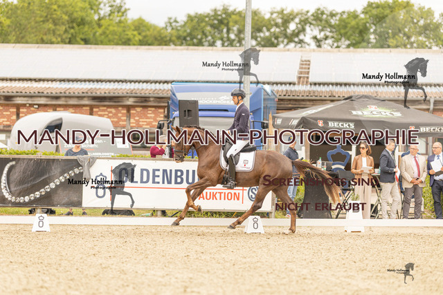 SW 4-255 | mandyhollmannphotographie