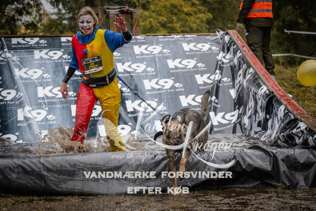 1114_ZZ92330 | kk-dogfotos