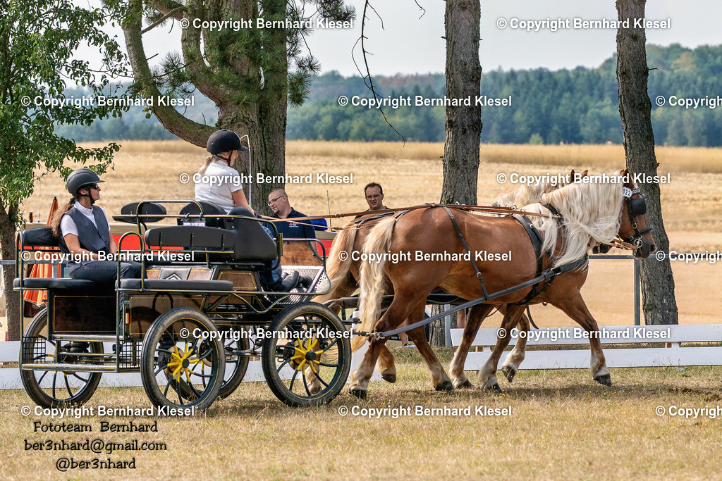 2A902322 | foto-team-bernhard - Realisiert mit Pictrs.com